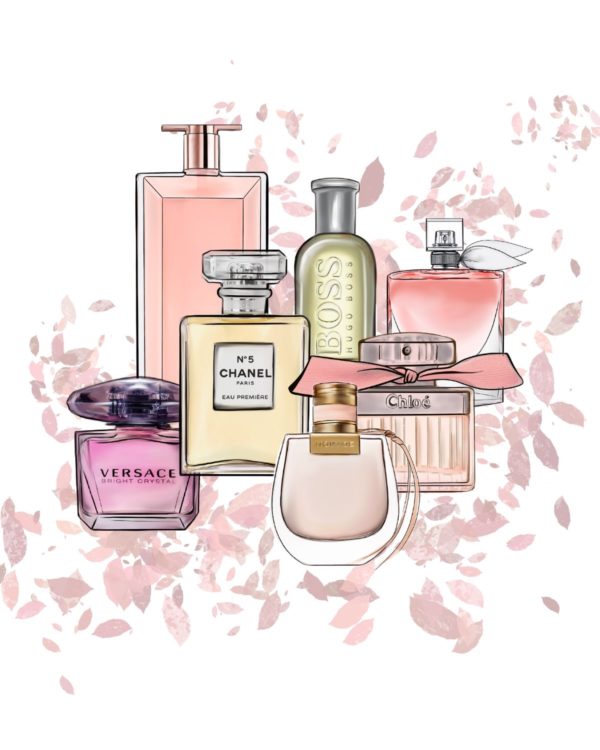 Parfums - Marisha studio ilustracija